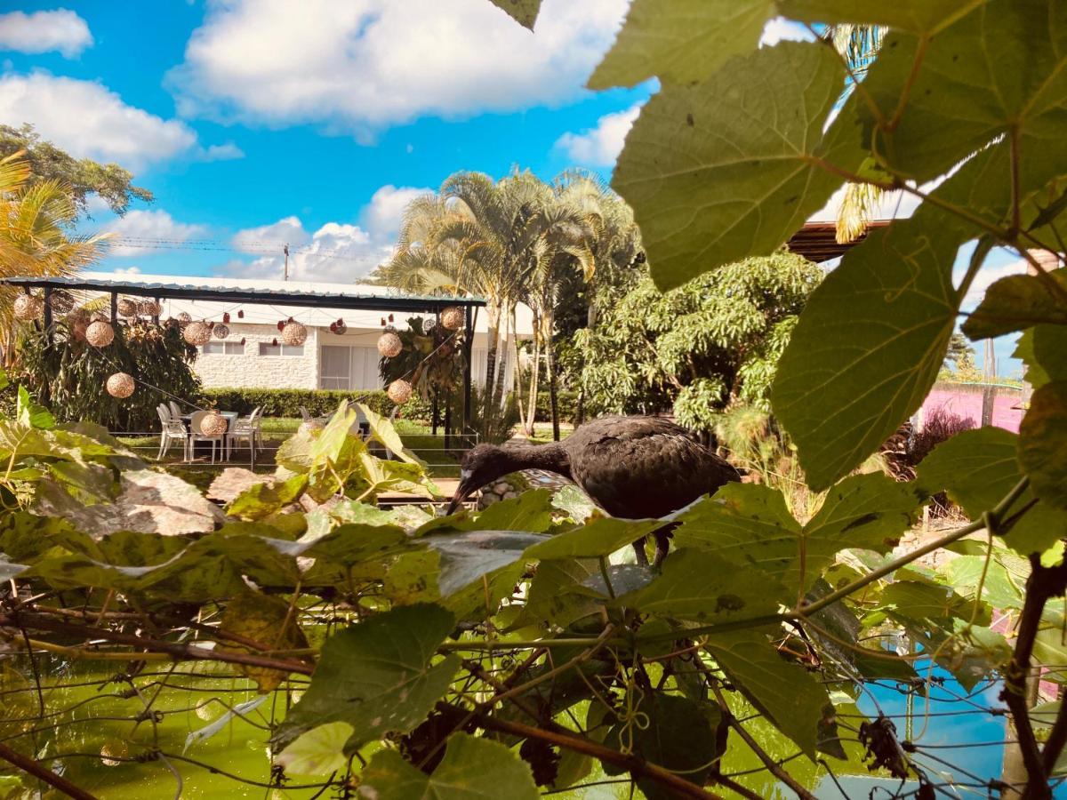 Villa Cristal Santa Elena  Exteriör bild